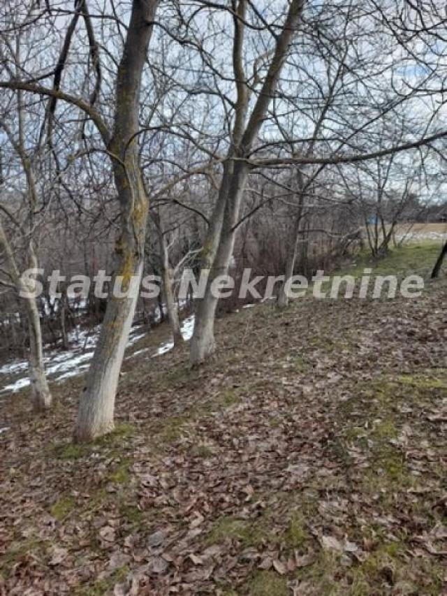 Banstol-Velika Parcela 12240 m2 za Umetnike i Hedoniste-065/385 8880