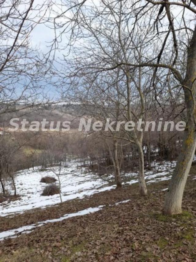 Banstol-Velika Parcela 12240 m2 za Umetnike i Hedoniste-065/385 8880