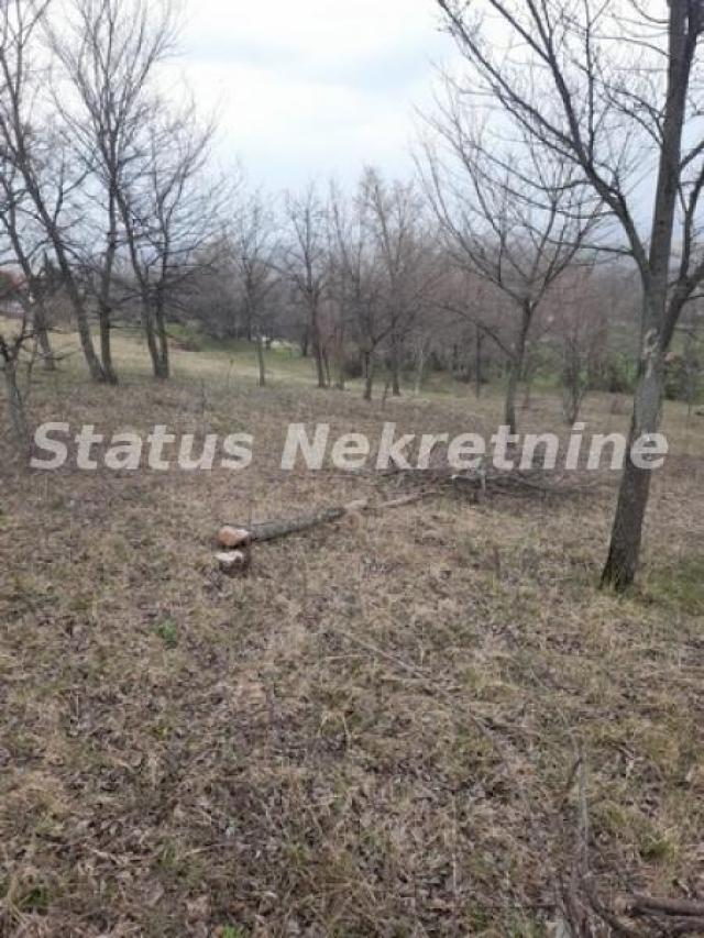 Petrovaradin-Veliki Građevinski Plac 3625 m2 na Platou Vezirca-065/385 8880