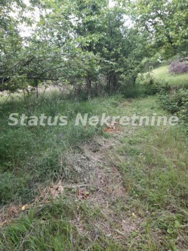 Mala Kamenica-Osunčan Plac 975 m2 za Vinogradarsko-Voćarske poslove-065/3858880