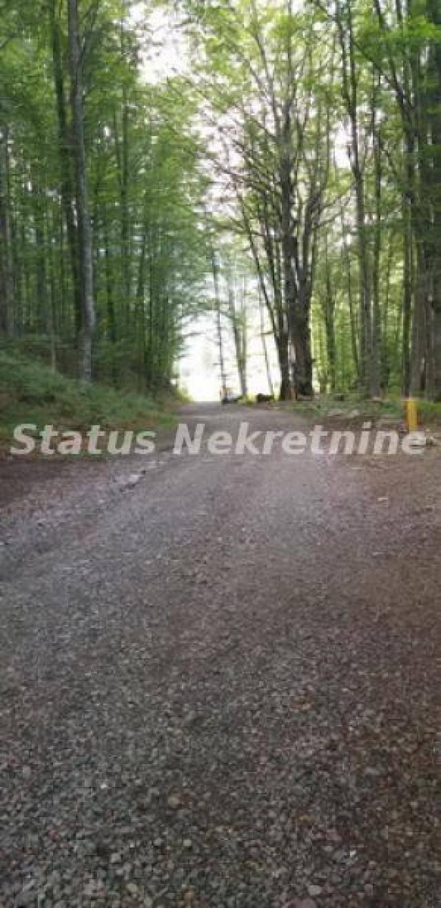 Kopaonik-Velika Građevinska Parcela 18420 m2 za Biznis-065/385 8880