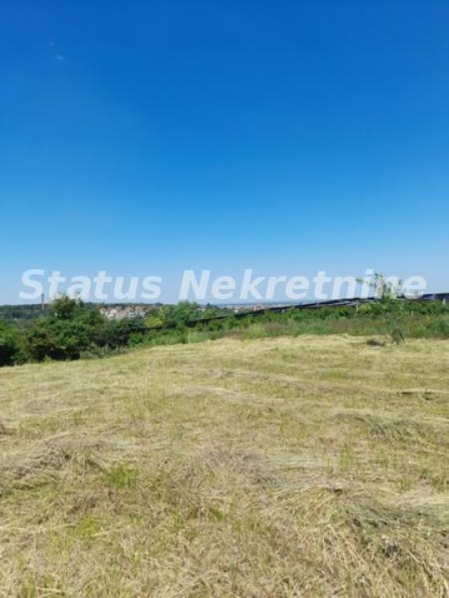 Petrovaradin-Građevinski Plac 6465 m2 na vrhu Alibegovca za Hotele ili Sportske sadržaje-065/385 888