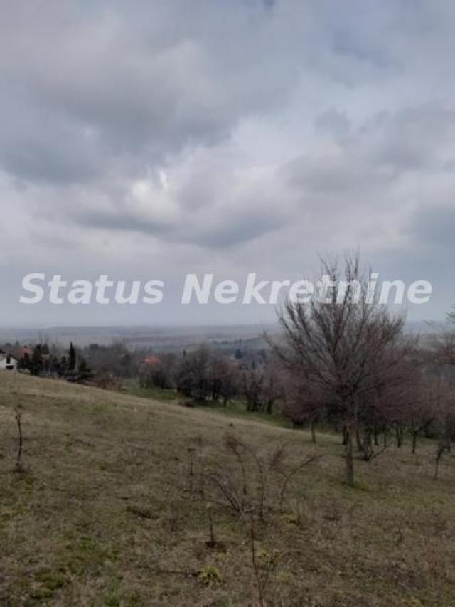 Petrovaradin-Veliki Građevinski Plac 3625 m2 na Platou Vezirca-065/385 8880