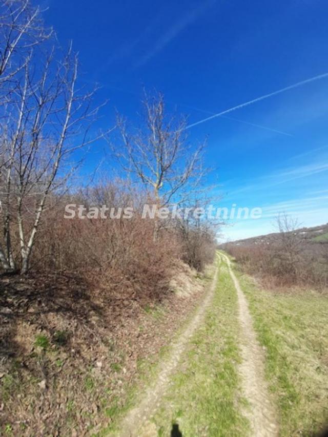 Sremski Karlovci-Fantastičan osunčan plac 7025 m2 za Vinograd i sa pogledom-065/385 8880