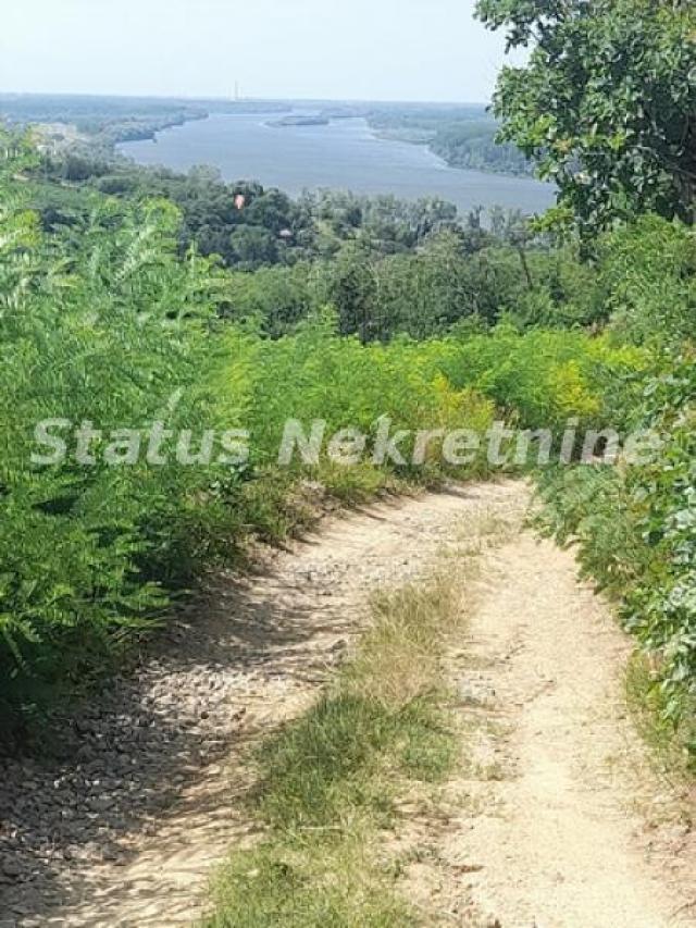 Banstol-Osunčan Veliki Plac 7500 m2 sa Pogledom na krivinu gde Dunav ljubi nebo-065/3858880