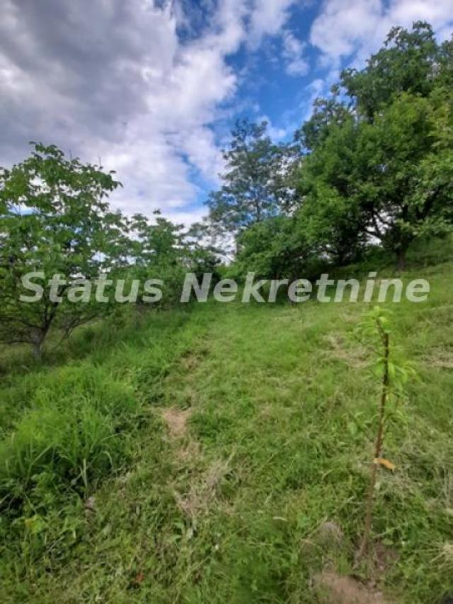 Mala Kamenica-Osunčan Plac 975 m2 za Vinogradarsko-Voćarske poslove-065/3858880