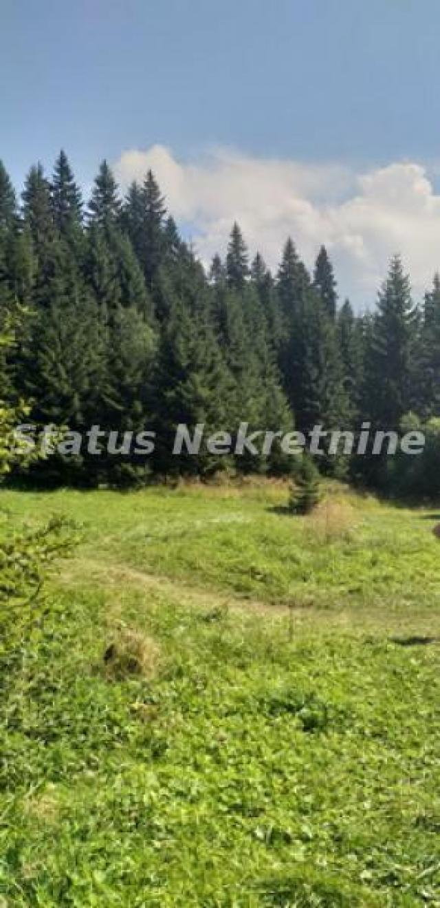 Kopaonik-Velika Građevinska Parcela 18420 m2 za Biznis-065/385 8880