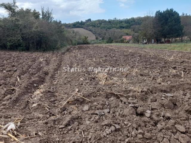 Krušedol-Plac 3780 m2 u blizini naselja-065/385 8880