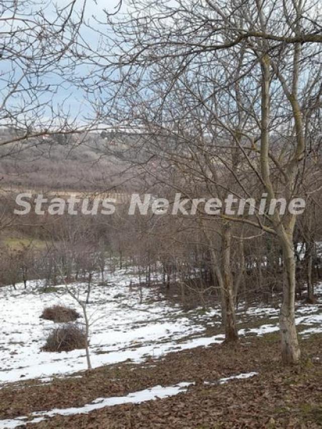 Banstol-Velika Parcela 12240 m2 za Umetnike i Hedoniste-065/385 8880