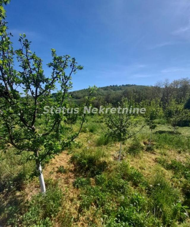 Sremski Karlovci-Velika Parcela 14715 m2(3820 m2+10900 m2)iz dve susedne parcele-065/385 8880