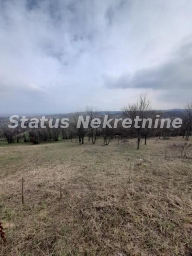 Petrovaradin-Veliki Građevinski Plac 3625 m2 na Platou Vezirca-065/385 8880