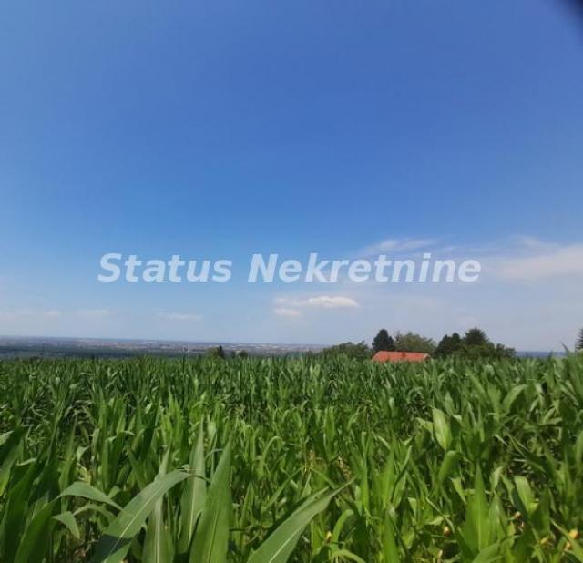 Rakovac-Vasionski Građevinski Plac 6580 m2 na Salaksijama-065/385 8880