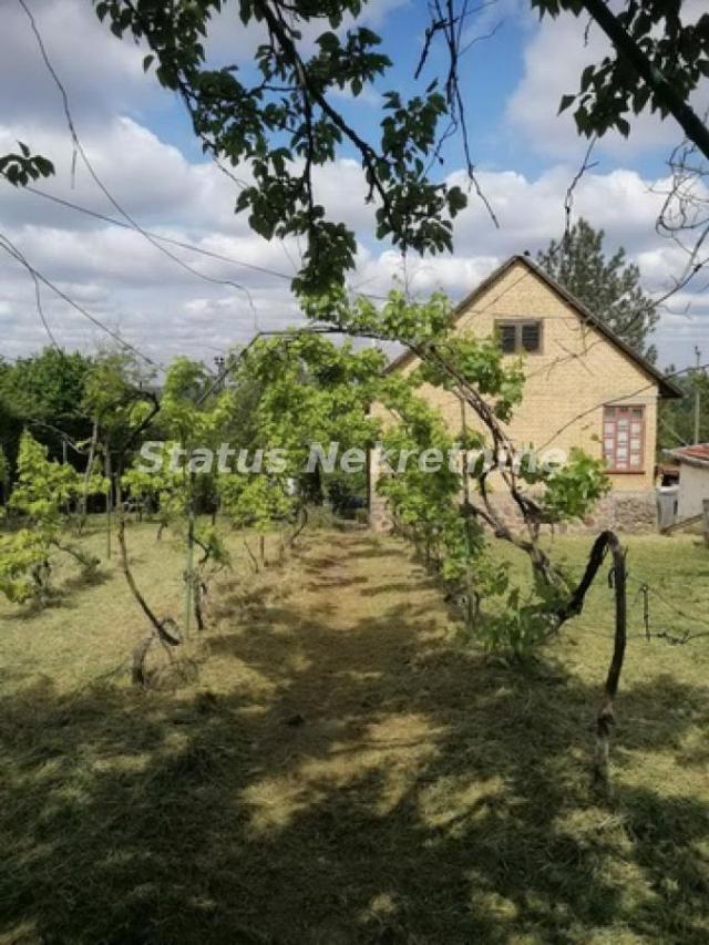 Čerević-Uknjižena Vikendica 49 m2 na Placu 1200 m2 sa Pogledom na Dunav-065/385 8880