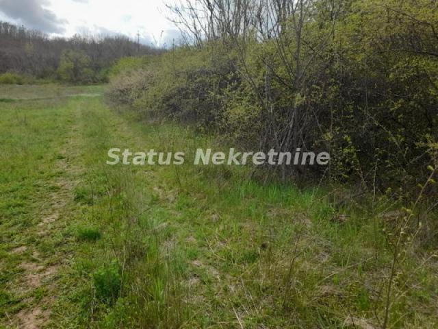 Ledinci-Lep Plac 1600 m2 u Poželjnom zelenom kraju-065/385 8880