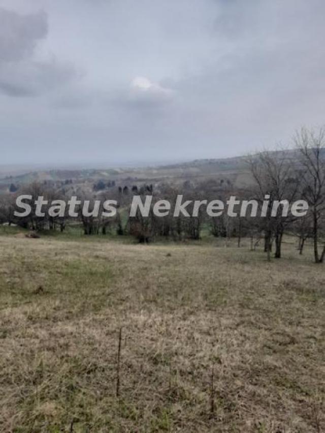 Petrovaradin-Veliki Građevinski Plac 3625 m2 na Platou Vezirca-065/385 8880