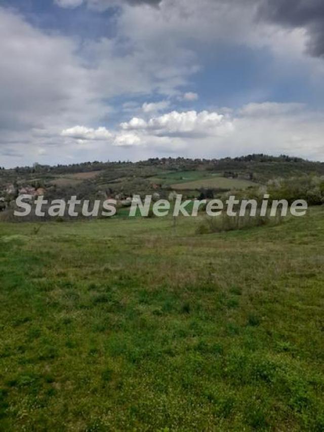 Ledinci-Lep Plac 1600 m2 u Poželjnom zelenom kraju-065/385 8880