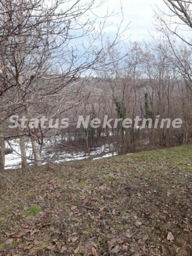 Banstol-Velika Parcela 12240 m2 za Umetnike i Hedoniste-065/385 8880