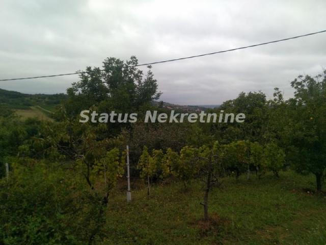 Sremski Karlovci-Stražilovo-Visinska Vikendica u Rajskoj bašti-065/385 8880