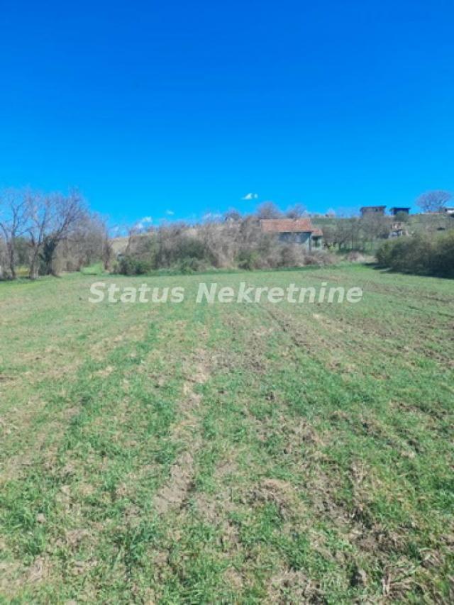 Banoštor-Veliki Građevinski Plac 1980 m2 za kupce sa Posebnim stilom života-065/385 8880