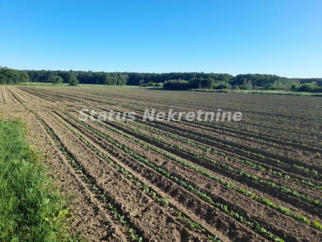 Okolina Šida-*Povoljno*-Najkvalitetnija Porodična kuća 194 m2 pored krivine reke Bosut u Prirodnom r