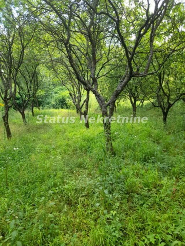 Banstol-*Super Povoljno*-Veliki Građevinski Plac 2165 m2 u Zelenoj Oazi sa bezplatnom strujom-065/38