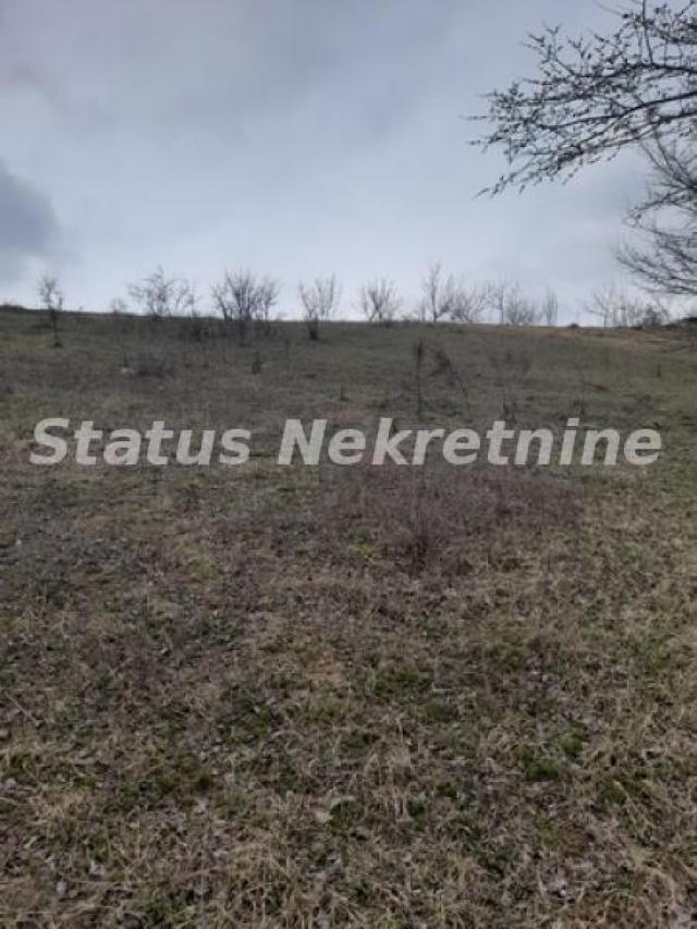 Petrovaradin-Veliki Građevinski Plac 3625 m2 na Platou Vezirca-065/385 8880