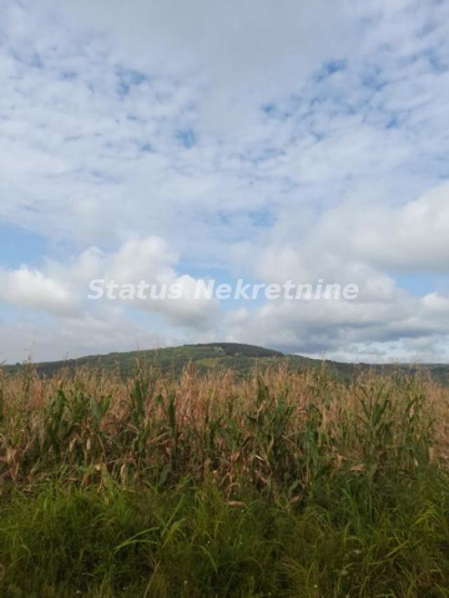 Vrdnik-Jazak-Velika Parcela 10800 m2 za kupce sa Posebnim stilom života sa Pogledom na pola Srema-06