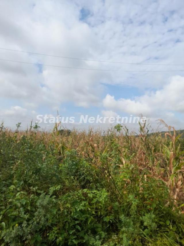 Vrdnik-Jazak-Velika Parcela 10800 m2 za kupce sa Posebnim stilom života sa Pogledom na pola Srema-06