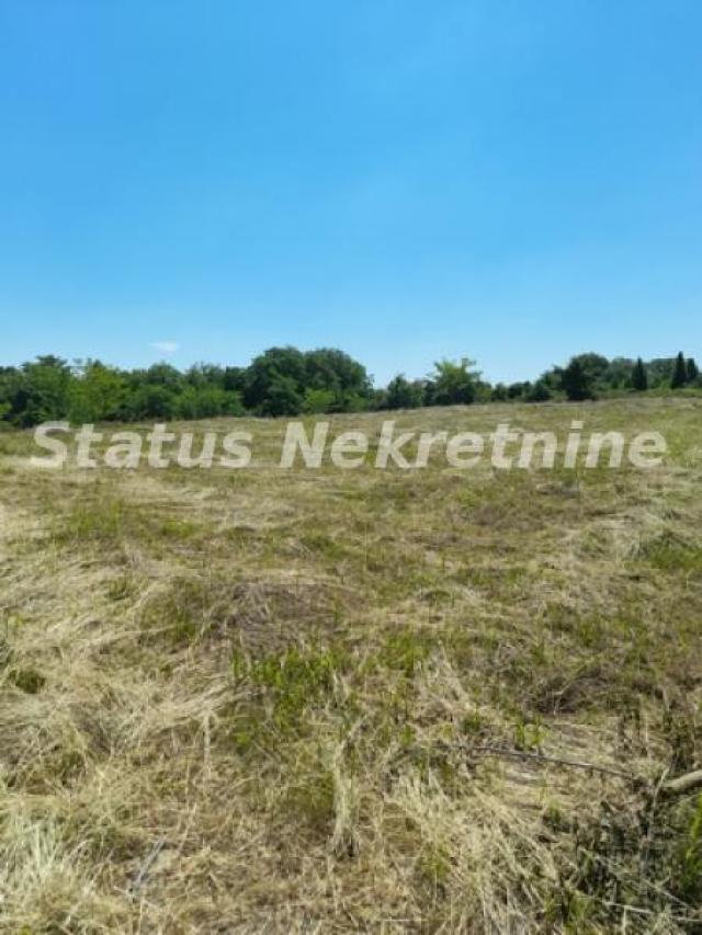 Petrovaradin-Građevinski Plac 6465 m2 na vrhu Alibegovca za Hotele ili Sportske sadržaje-065/385 888