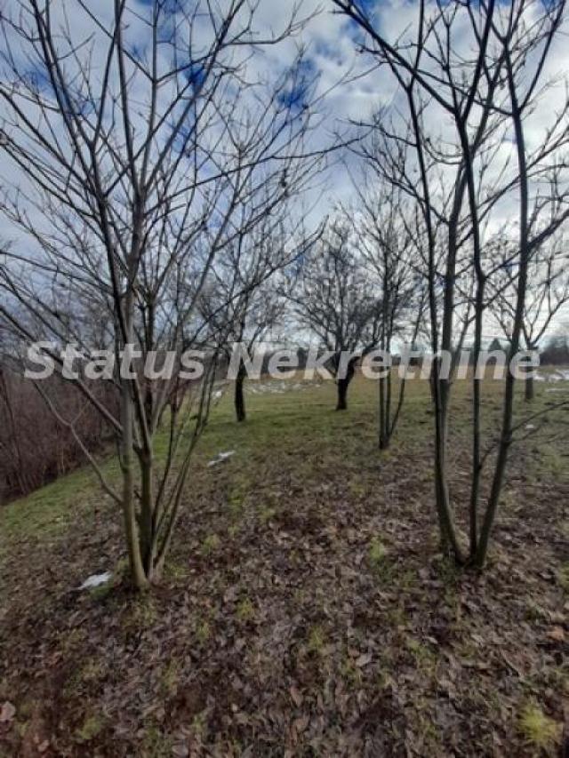 Banstol-Velika Parcela 12240 m2 za Umetnike i Hedoniste-065/385 8880