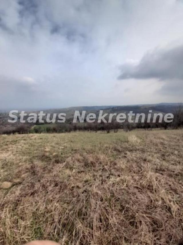 Petrovaradin-Veliki Građevinski Plac 3625 m2 na Platou Vezirca-065/385 8880