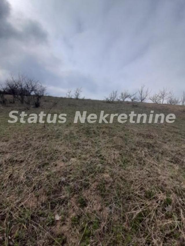 Petrovaradin-Veliki Građevinski Plac 3625 m2 na Platou Vezirca-065/385 8880