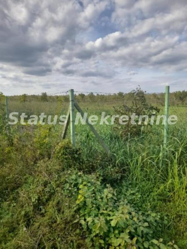 Sremska Mitrovica-Velika Parcela 43582 m2 u blizini Auto-Puta za Komercijalnu Delatnost-065/385 8880