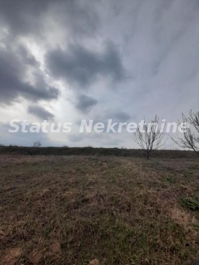 Petrovaradin-Veliki Građevinski Plac 3625 m2 na Platou Vezirca-065/385 8880