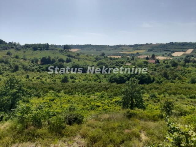 Banstol-Osunčan Veliki Plac 7500 m2 sa Pogledom na krivinu gde Dunav ljubi nebo-065/3858880