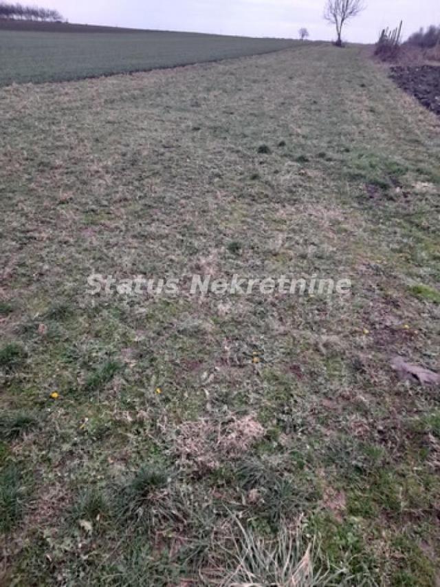 Futog-Građevinsko zemljište 3300 m2 u Radnoj Zoni za Poslovanje-065/385 8880