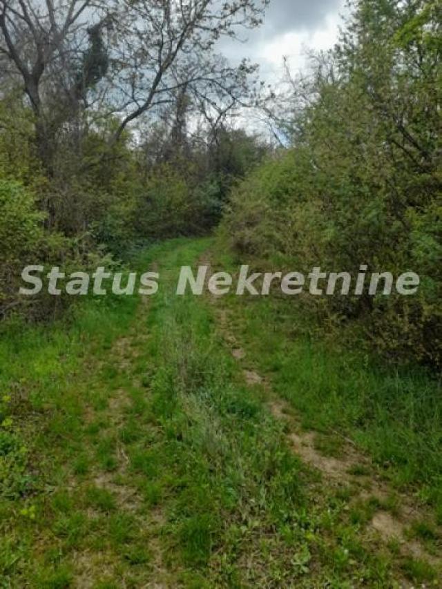 Ledinci-Lep Plac 1600 m2 u Poželjnom zelenom kraju-065/385 8880