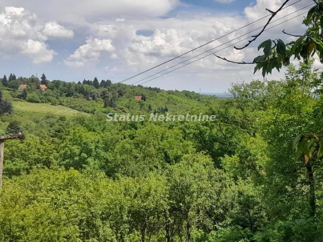 Banstol-*Super Povoljno*-Veliki Građevinski Plac 2165 m2 u Zelenoj Oazi sa bezplatnom strujom-065/38