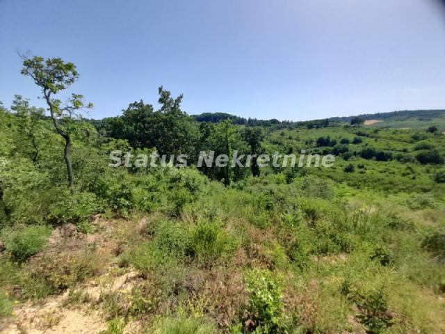 Banstol-Osunčan Veliki Plac 7500 m2 sa Pogledom na krivinu gde Dunav ljubi nebo-065/3858880