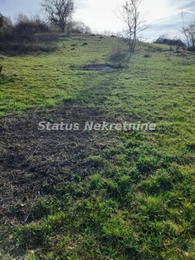 Sremska Kamenica-Artiljevo-Povoljno Lep Plac 1544 m2 na Fruškoj gori-065/385 8880