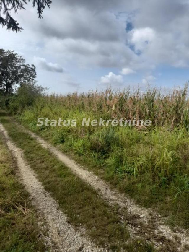 Vrdnik-Jazak-Velika Parcela 10800 m2 za kupce sa Posebnim stilom života sa Pogledom na pola Srema-06