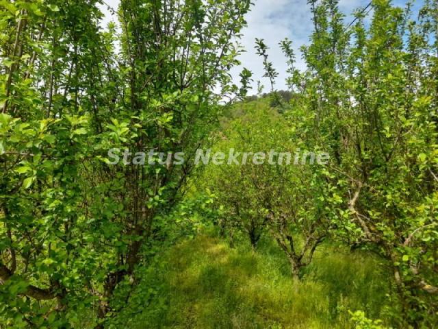 Vrdnik-Plac 1000 m2 u Mirnom kraju-065/385 8880