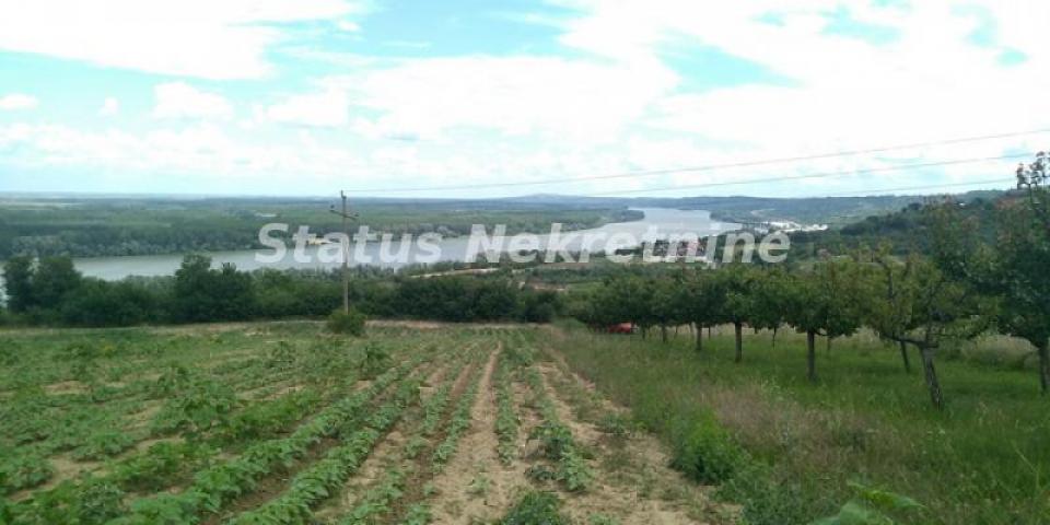 Sremski Karlovci-Fantastičan Osunčan Plac 8019 m2 sa pogledom gde Dunav ljubi nebo-065/385 8880