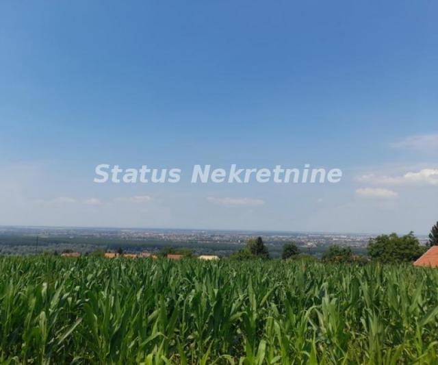 Rakovac-Vasionski Građevinski Plac 6580 m2 na Salaksijama-065/385 8880