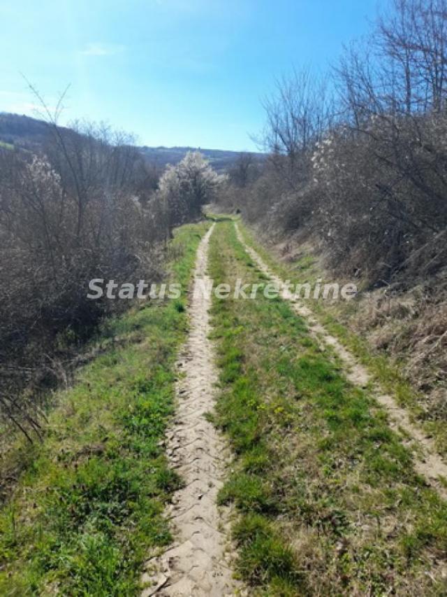 Sremski Karlovci-Fantastičan osunčan plac 7025 m2 za Vinograd i sa pogledom-065/385 8880