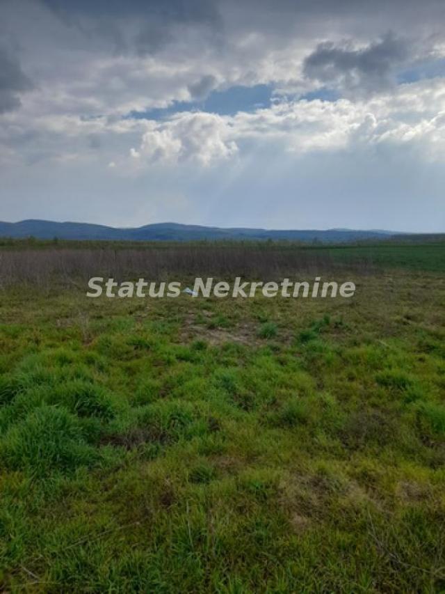 Novi Futog-Dva Građevinska Placa 1467 m2 u mirnom kraju 100 metara od naselja-065/385 8880