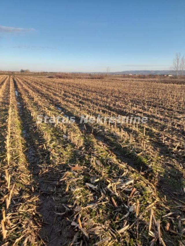 Futog-Građevinski Plac 12100 m2 u Industrijskoj Zoni pogodan za Hale-065/385 8880