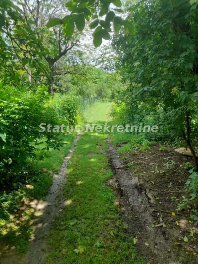 Banstol-*Super Povoljno*-Veliki Građevinski Plac 2165 m2 u Zelenoj Oazi sa bezplatnom strujom-065/38