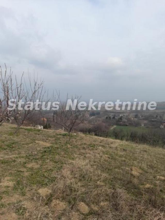 Petrovaradin-Veliki Građevinski Plac 3625 m2 na Platou Vezirca-065/385 8880