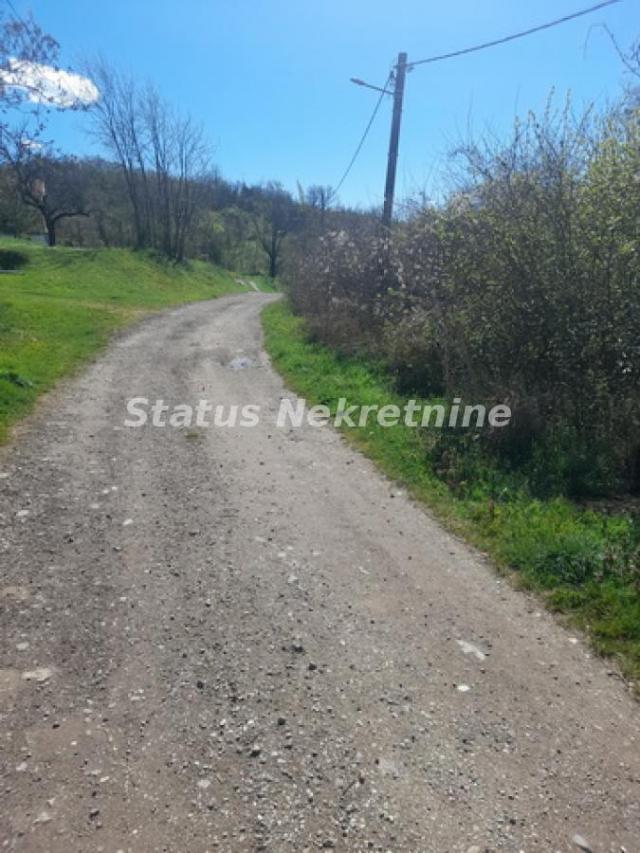 Banoštor-Veliki Građevinski Plac 1980 m2 za kupce sa Posebnim stilom života-065/385 8880